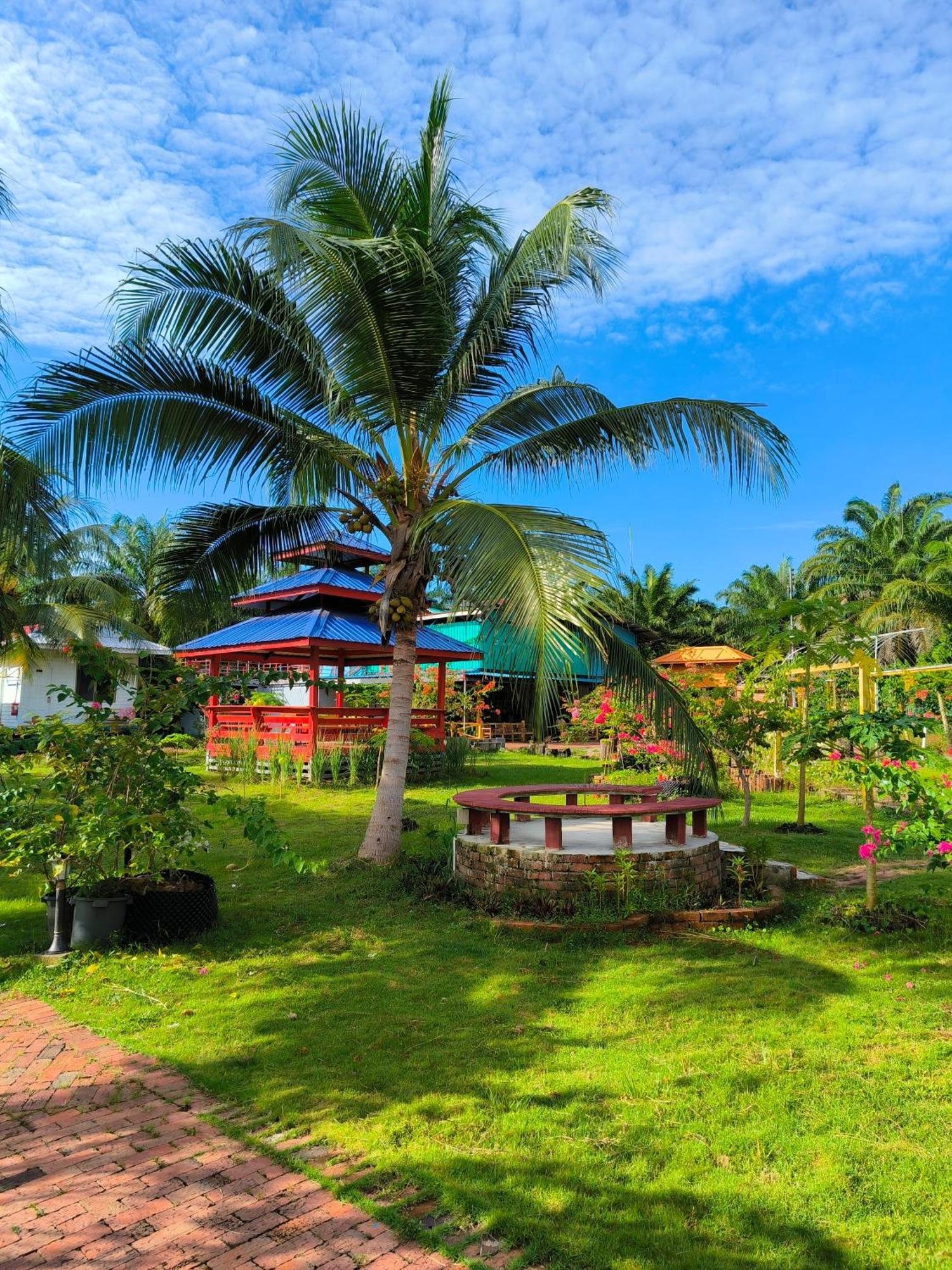 Shunde Palm Resort 仙本那顺德人家棕榈园 Eksteriør bilde