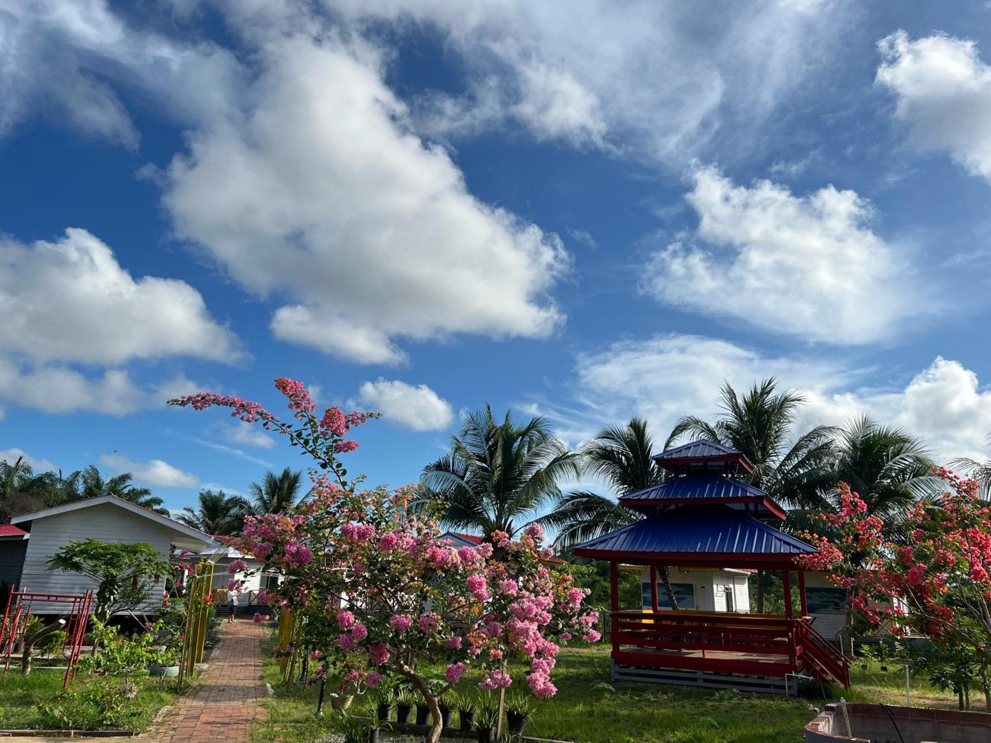 Shunde Palm Resort 仙本那顺德人家棕榈园 Eksteriør bilde