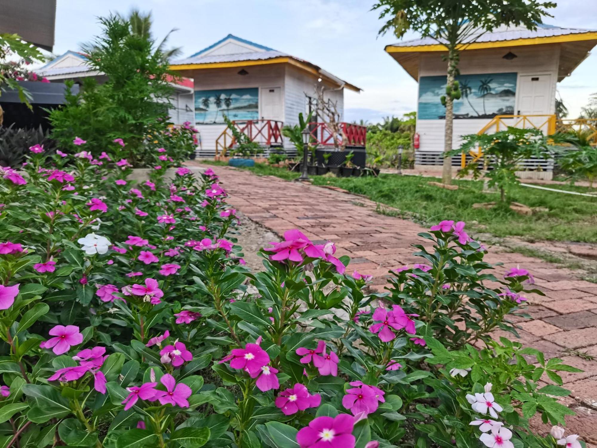 Shunde Palm Resort 仙本那顺德人家棕榈园 Eksteriør bilde